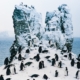 Eine Kolonie von Zügelpinguinen auf Half Moon Island auf den Südlichen Shetland-Inseln. (CREDIT: John Chardine/Hurtigruten Expeditions)