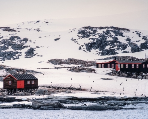 Die beliebteste Anlandungsstelle in der Antarktis ist Port Lockroy. Hier gibt es Geschichte, Wissenschaft, Pinguine und andere Wildtiere zu bestaunen, und es bietet sich die einmalige Gelegenheit, ein echtes Antarktis-Souvenir zu erwerben und sogar eine Postkarte nach Hause zu schicken. (CREDIT: John Chardine/Hurtigruten Expeditions)