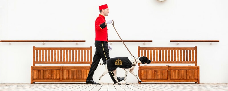 Mit dem Dog Master Gassi gehen (Foto Cunard)