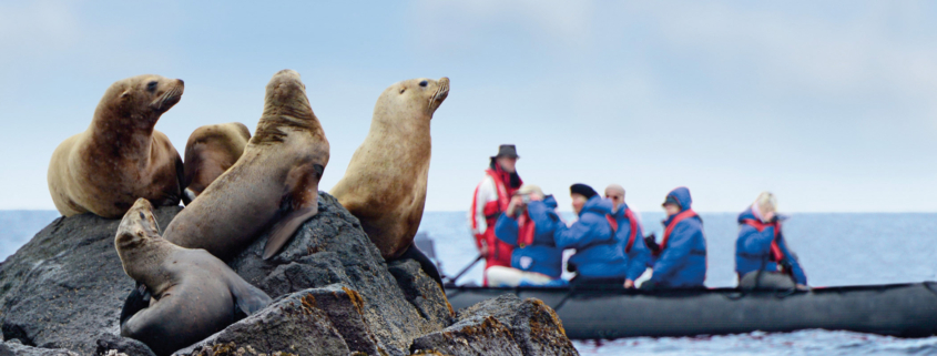 Fast täglich kommen die Zodiacs zum Einsatz, um die antarktische Tierwelt zu entdecken, (Foto Hapag-Lloyd Cruises)
